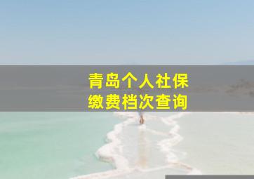 青岛个人社保缴费档次查询