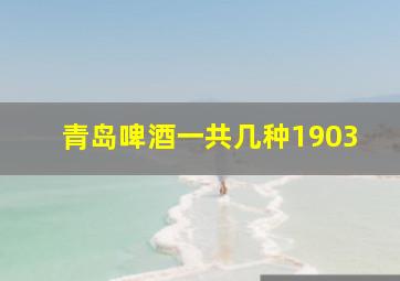 青岛啤酒一共几种1903