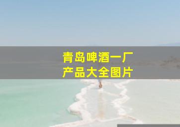 青岛啤酒一厂产品大全图片