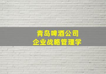 青岛啤酒公司企业战略管理学