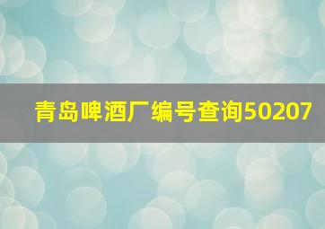 青岛啤酒厂编号查询50207