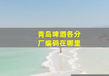 青岛啤酒各分厂编码在哪里