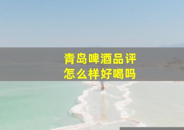 青岛啤酒品评怎么样好喝吗