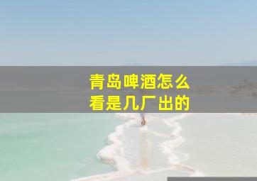 青岛啤酒怎么看是几厂出的