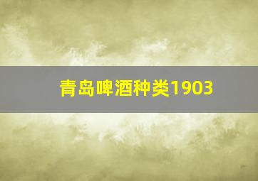 青岛啤酒种类1903