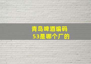 青岛啤酒编码53是哪个厂的