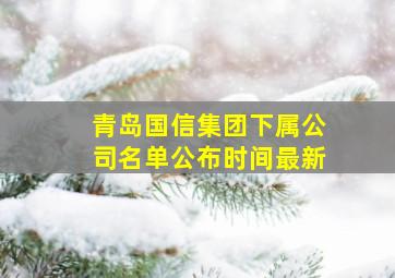 青岛国信集团下属公司名单公布时间最新