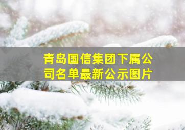 青岛国信集团下属公司名单最新公示图片