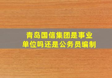 青岛国信集团是事业单位吗还是公务员编制