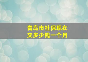 青岛市社保现在交多少钱一个月