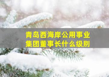 青岛西海岸公用事业集团董事长什么级别