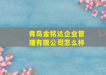 青岛金铭达企业管理有限公司怎么样