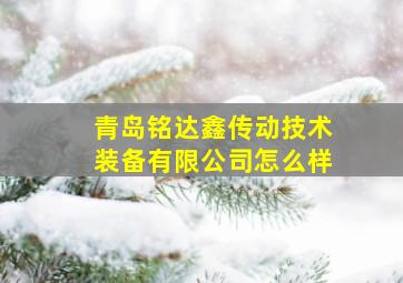 青岛铭达鑫传动技术装备有限公司怎么样