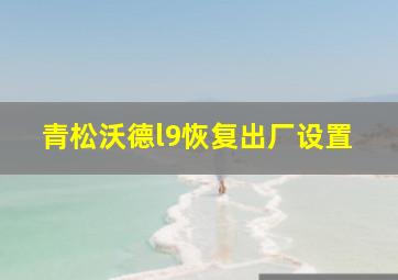 青松沃德l9恢复出厂设置