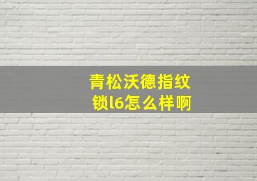 青松沃德指纹锁l6怎么样啊