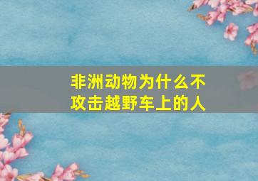 非洲动物为什么不攻击越野车上的人