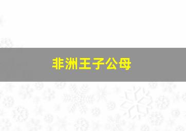 非洲王子公母