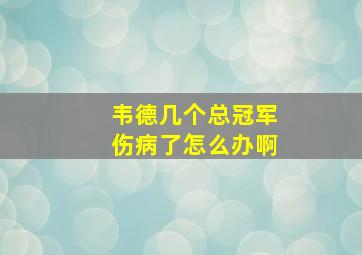 韦德几个总冠军伤病了怎么办啊