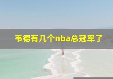 韦德有几个nba总冠军了