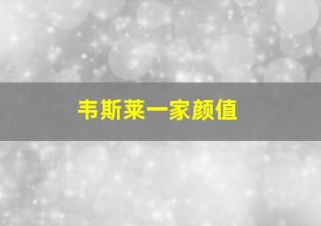 韦斯莱一家颜值