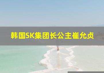 韩国SK集团长公主崔允贞