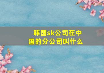 韩国sk公司在中国的分公司叫什么