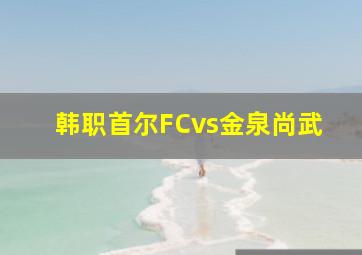 韩职首尔FCvs金泉尚武