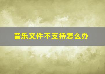 音乐文件不支持怎么办