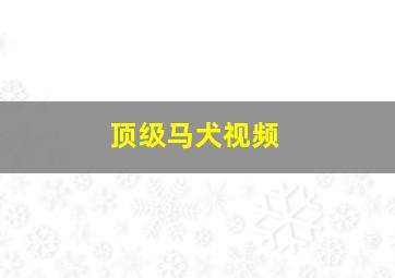 顶级马犬视频