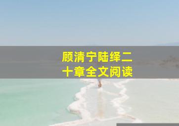 顾清宁陆绎二十章全文阅读