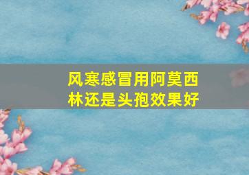 风寒感冒用阿莫西林还是头孢效果好