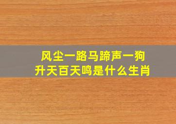 风尘一路马蹄声一狗升天百天鸣是什么生肖