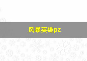 风暴英雄pz