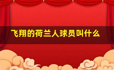 飞翔的荷兰人球员叫什么