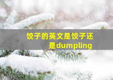 饺子的英文是饺子还是dumpling