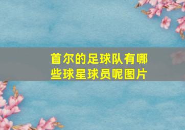 首尔的足球队有哪些球星球员呢图片