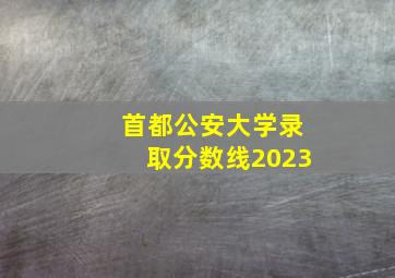 首都公安大学录取分数线2023