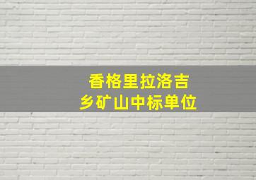 香格里拉洛吉乡矿山中标单位