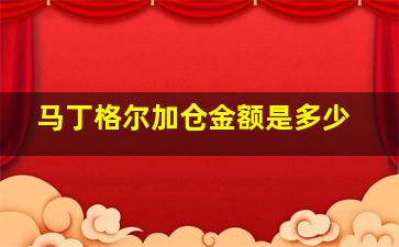 马丁格尔加仓金额是多少