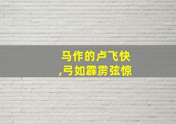 马作的卢飞快,弓如霹雳弦惊