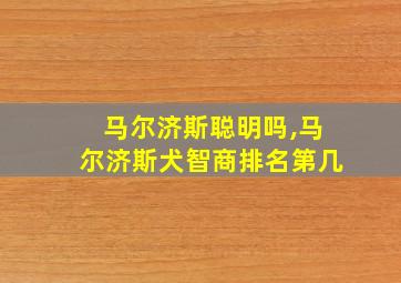 马尔济斯聪明吗,马尔济斯犬智商排名第几