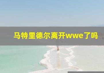 马特里德尔离开wwe了吗