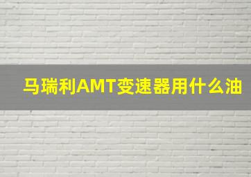 马瑞利AMT变速器用什么油