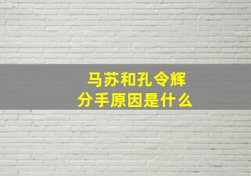 马苏和孔令辉分手原因是什么