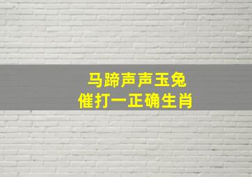 马蹄声声玉兔催打一正确生肖