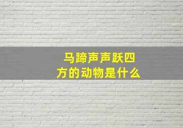 马蹄声声跃四方的动物是什么