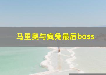 马里奥与疯兔最后boss