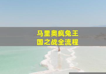 马里奥疯兔王国之战全流程