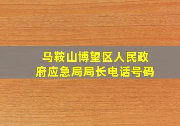 马鞍山博望区人民政府应急局局长电话号码