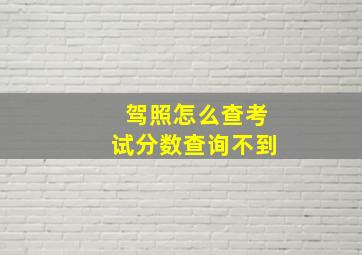 驾照怎么查考试分数查询不到